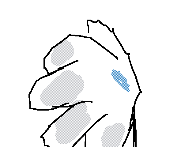 ball smack, throw and bonk (peak)