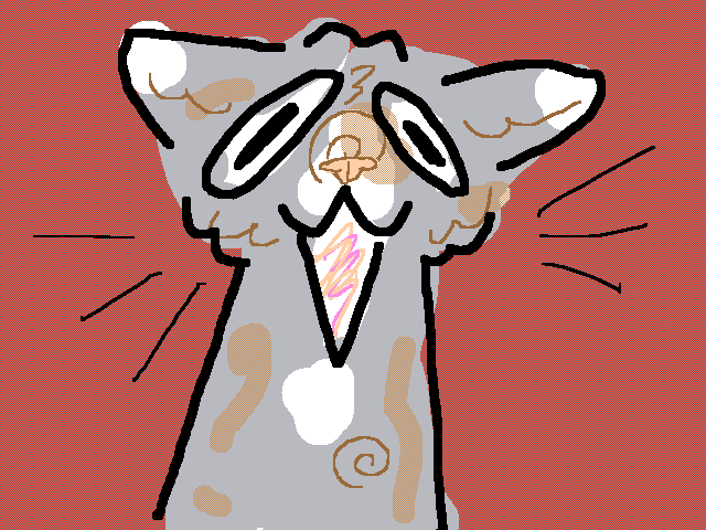 My kitten doesn’t meow, he screams