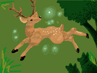 🦌deer 2.0