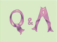 Q&A