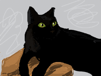 Weird thing (aka my cat ) resuscitating paper bag