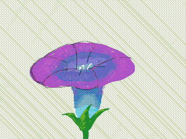 Ipomoea flower (for doodlebug)