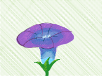 Ipomoea flower (for doodlebug)