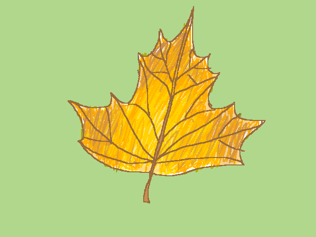 🍁 leaf 🍂