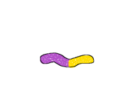 Why can’t I be a gummy worm