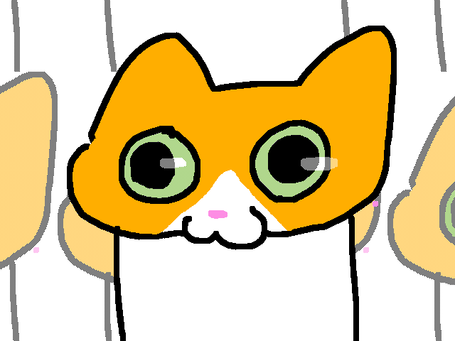 🐱🦊🐻