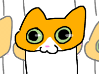 🐱🦊🐻