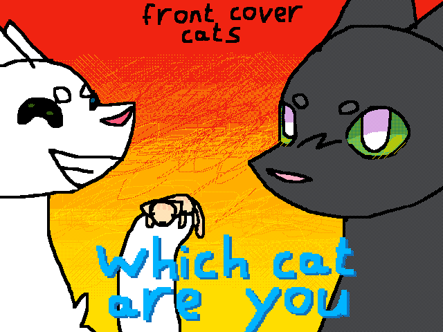 Which cat are you?