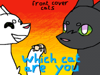 Which cat are you?