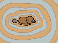 Platypus
