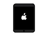 My iPad now when I change SystemVersion.plist