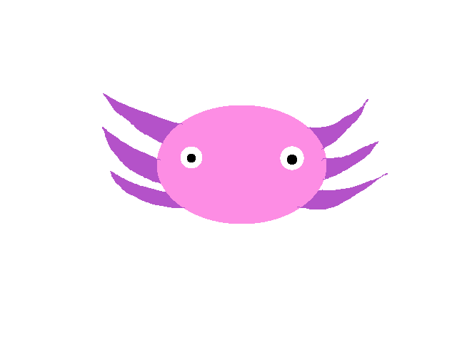 Spin