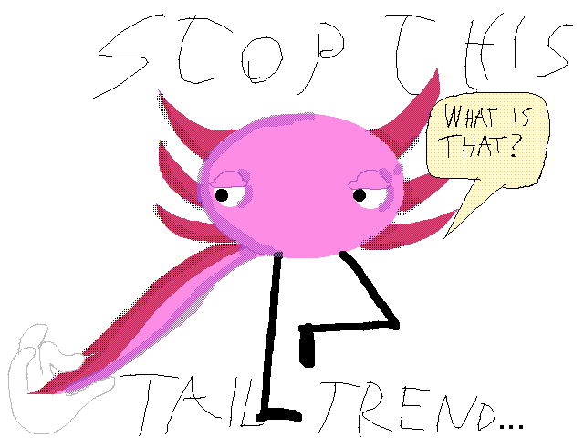 stopdrawingmewithatail.exe