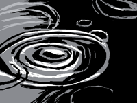 Rain puddle