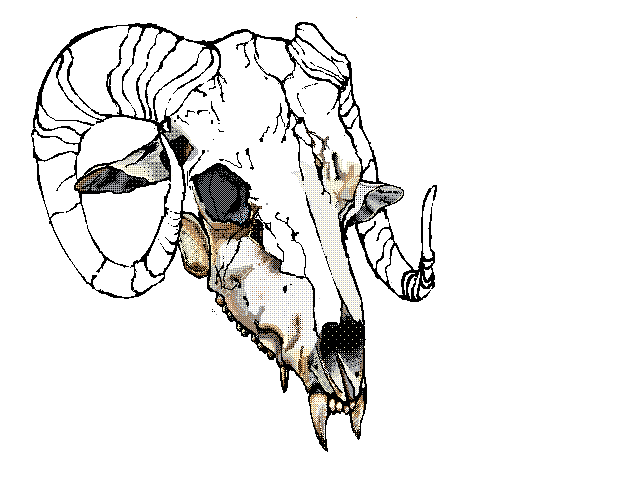 Wip   (wip)