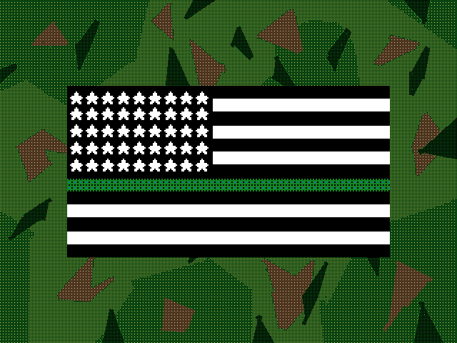 Thank you military service members