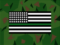 Thank you military service members