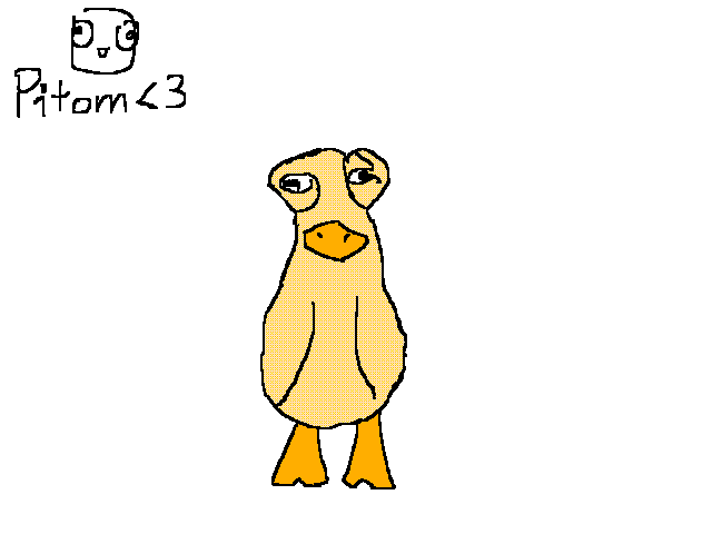 But what about the yellow chicken