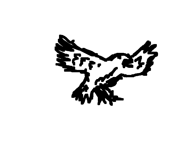 Eagle