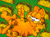 The garfield cat