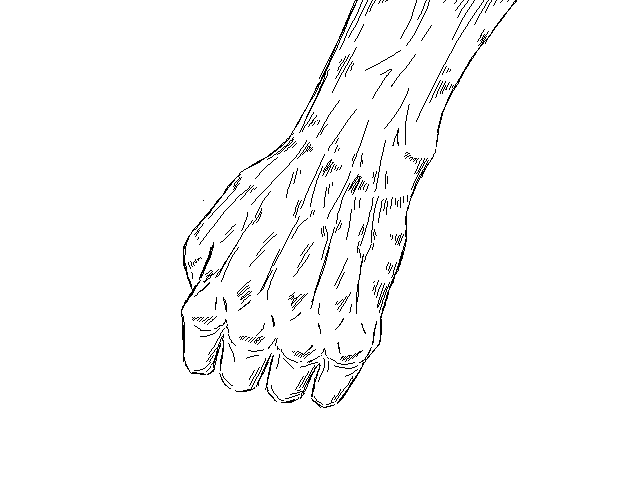 Hand