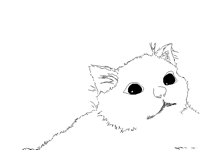 Scream disappear cat