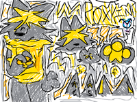 roxkin go brr