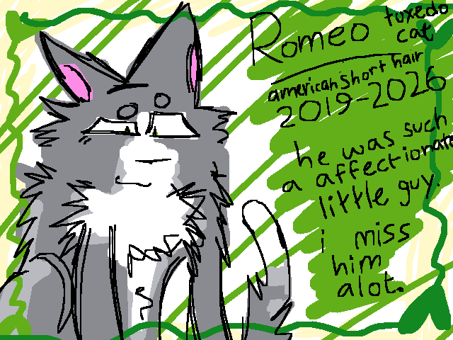 my cat died,.. couple weeks ago.