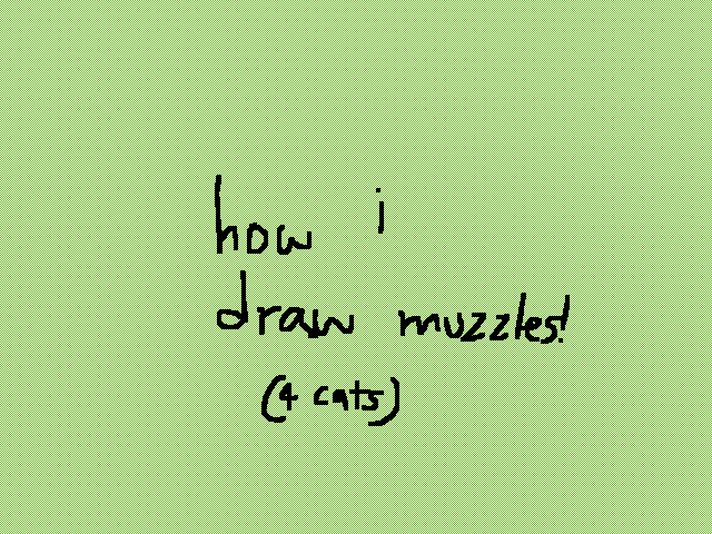 how i draw muzzles 4 cats