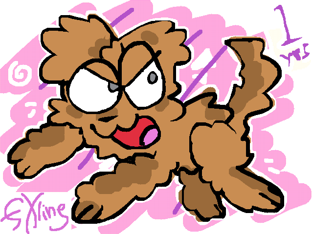 it's my dogs birthday today !