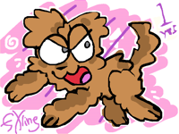 it's my dogs birthday today !