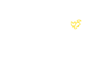 run test