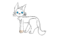 @derpycat my cat lol