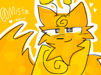 funny cat