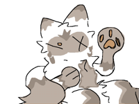 raccoon pattern testing! (sorry last post