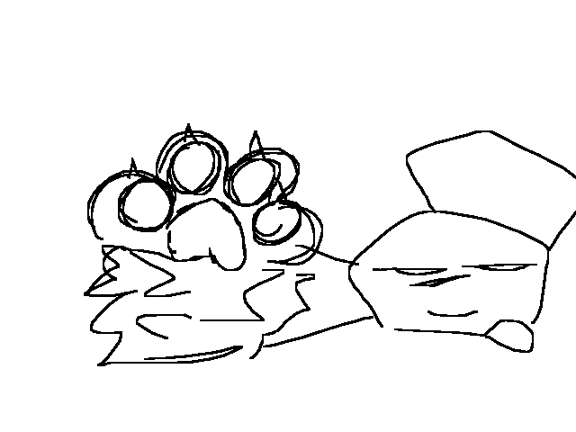 can some1 teach me how 2 draw paws