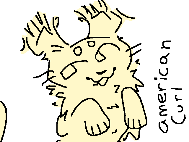 ask me any breed of cats too add!