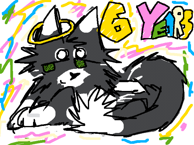 happy birthday to my cat romeo <3