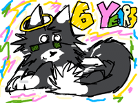 happy birthday to my cat romeo <3