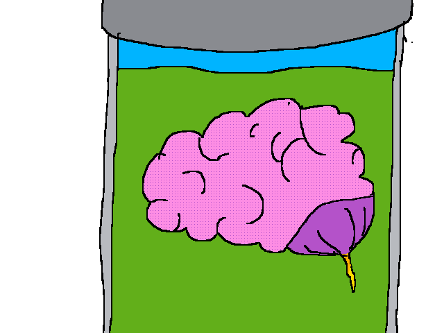 Brain
