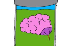 Brain