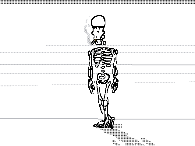 skeleton