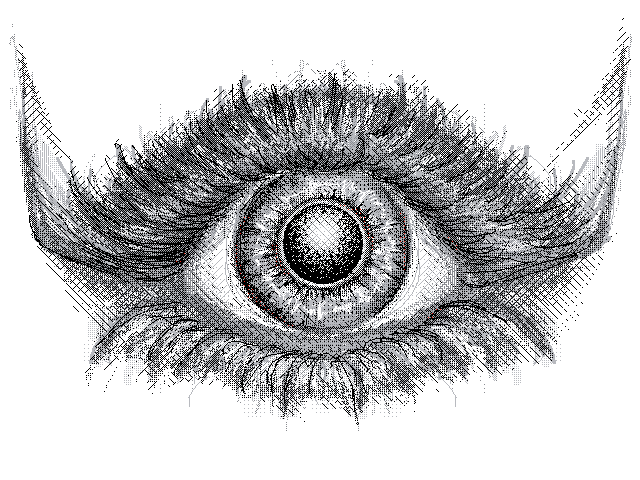 Blink (1)