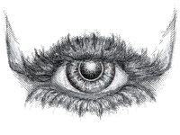 Blink (1)
