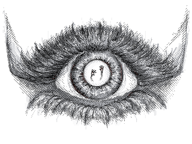 Blink
