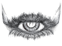 Blink