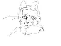 One of these things I never finish