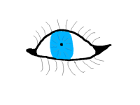 Eye