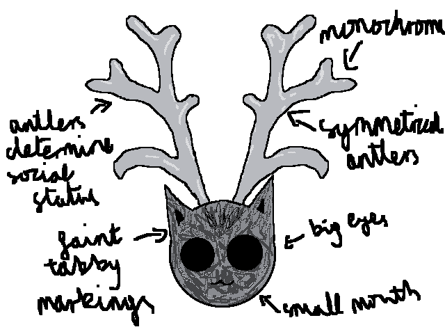 Think of a name for this species pls