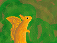Squirrel